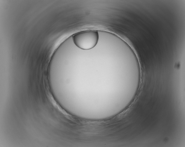 X0000113951389200909250952