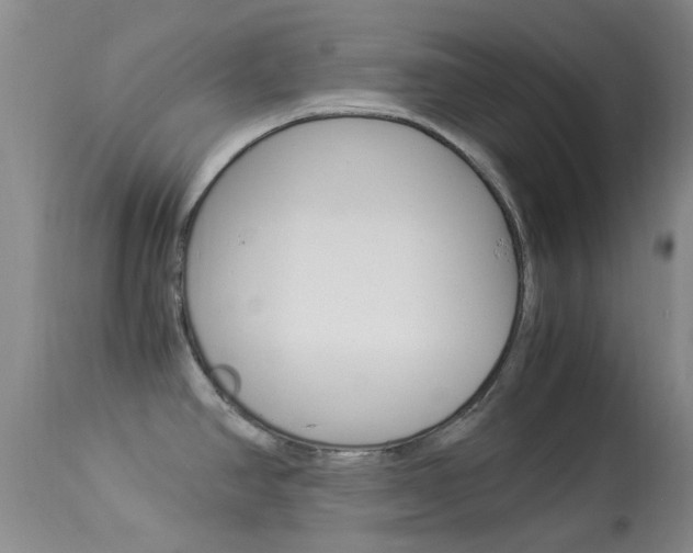X0000113951390200909250952