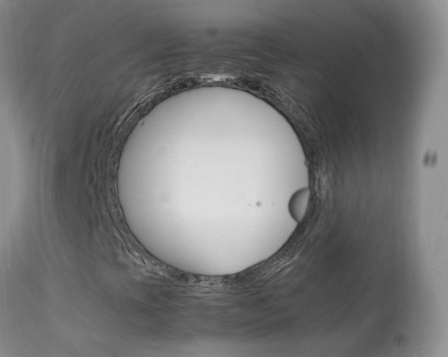 X0000113951393200909250952