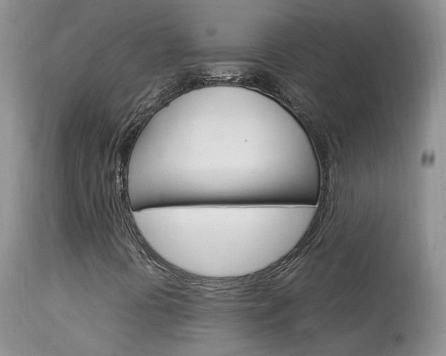 X0000113951394200909250952