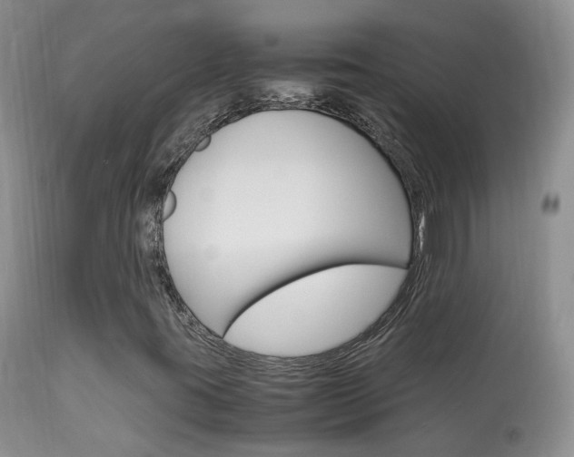 X0000113951395200909250952