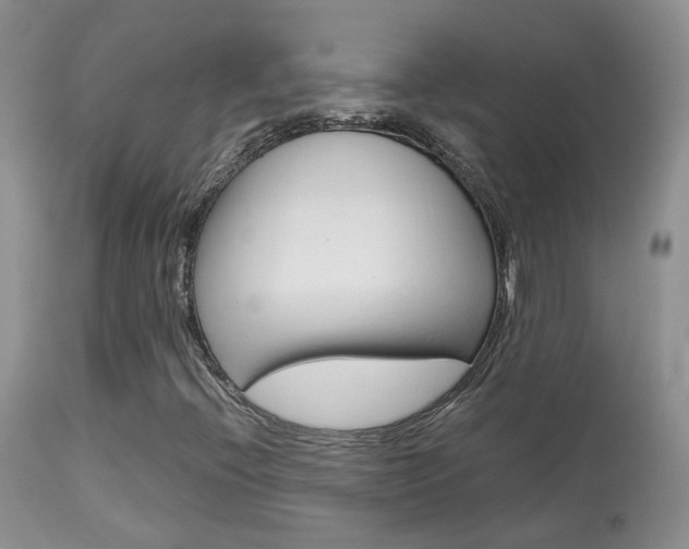 X0000113951396200909250952