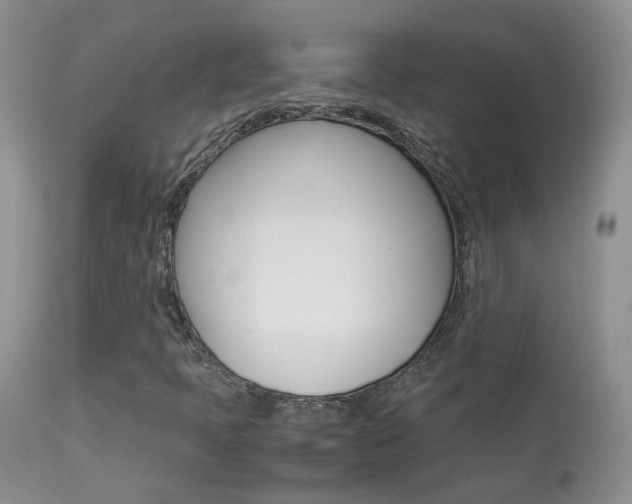 X0000113951397200909250952