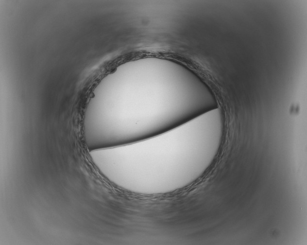 X0000113951398200909250952