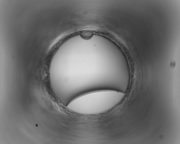 X0000113951400200909250952