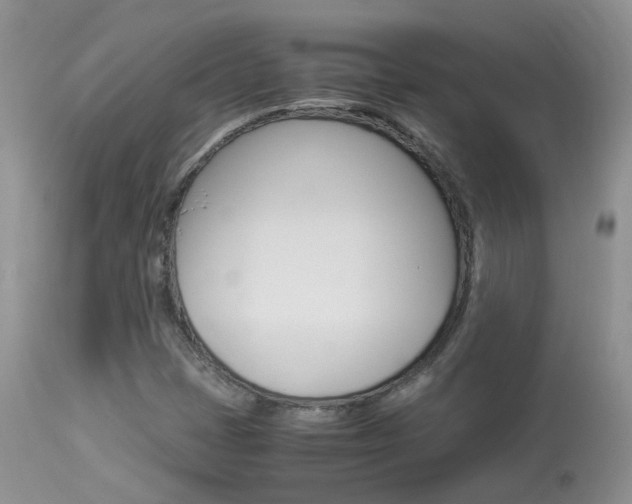 X0000113951401200909250952