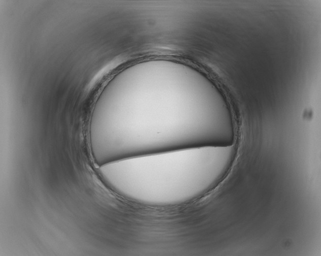 X0000113951402200909250952