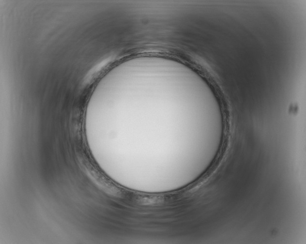 X0000113951403200909250952