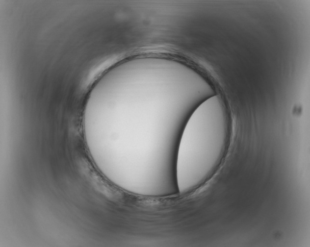 X0000113951405200909250952