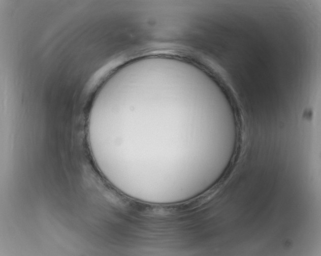 X0000113951411200909250952
