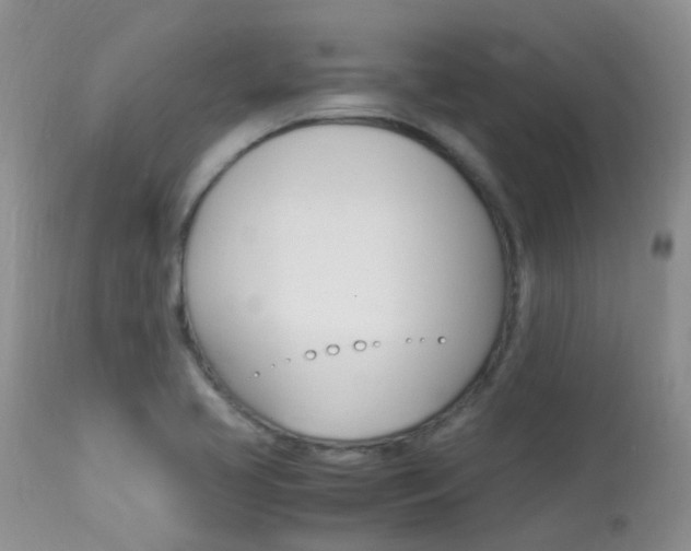 X0000113951413200909250952