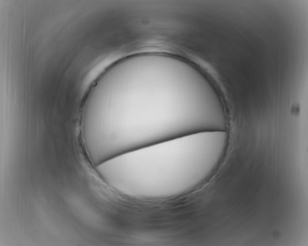 X0000113951415200909250952
