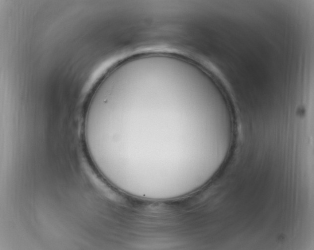 X0000113951416200909250952