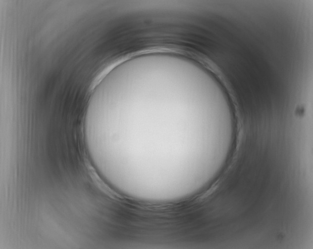 X0000113951417200909250952