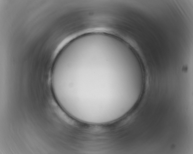 X0000113951420200909250952
