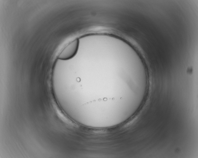 X0000113951421200909250952