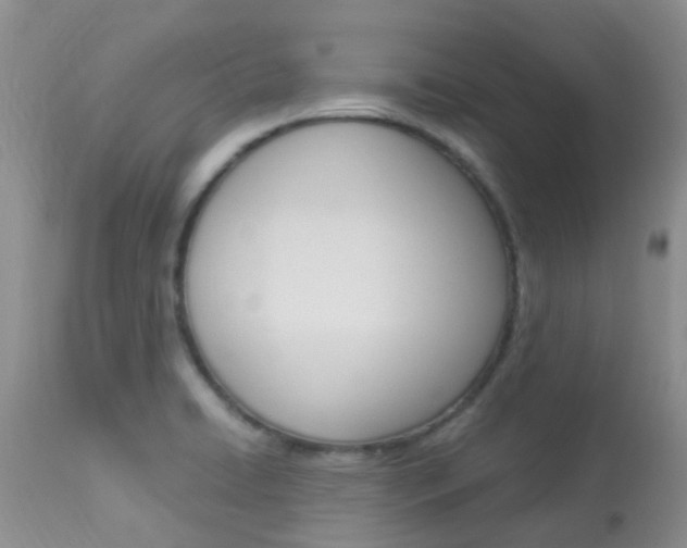 X0000113951422200909250952