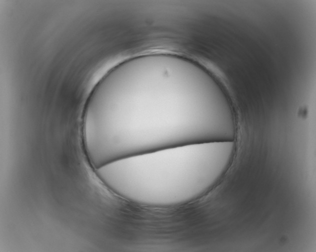 X0000113951423200909250952