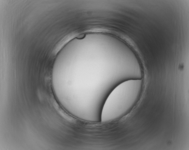 X0000113951425200909250952