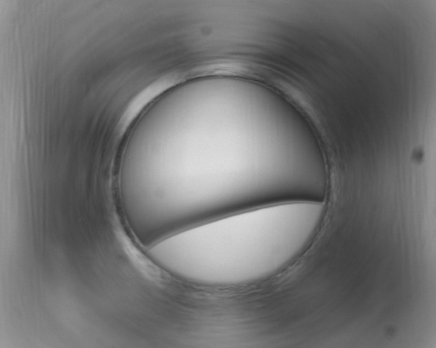 X0000113951426200909250952