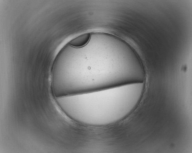 X0000113951428200909250952