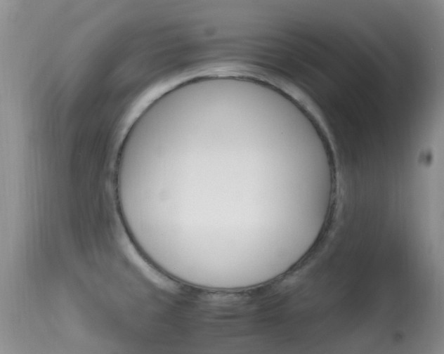 X0000113951429200909250952
