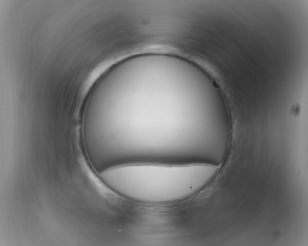 X0000113951430200909250952