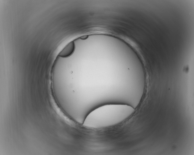 X0000113951431200909250952