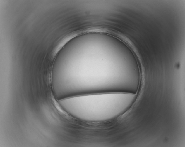 X0000113951433200909250952