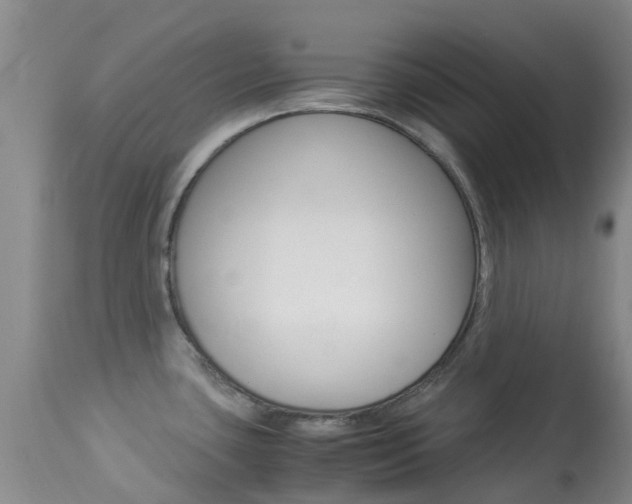 X0000113951435200909250952