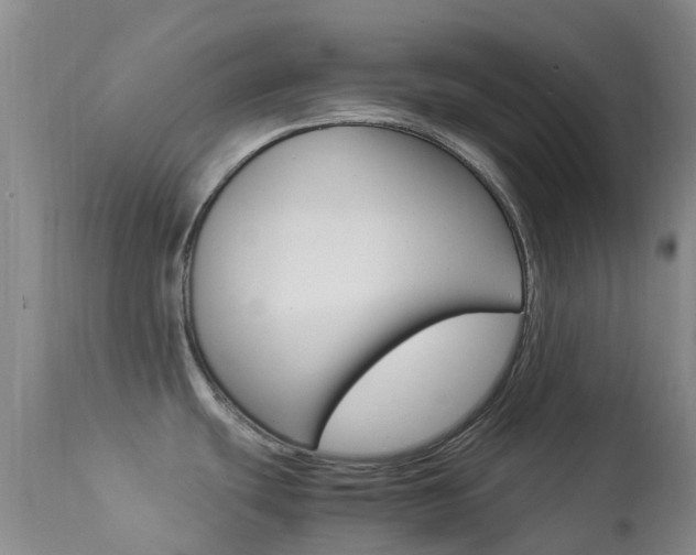 X0000113951439200909250952