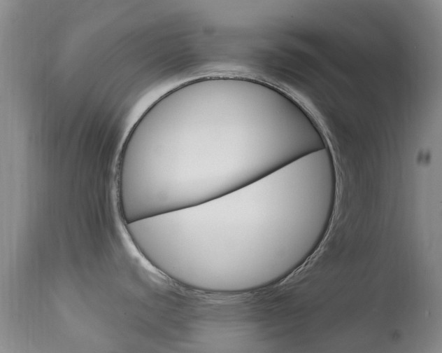 X0000113951440200909250952
