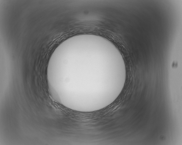 X0000113951441200909250952