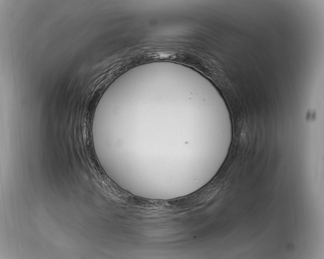 X0000113951442200909250952