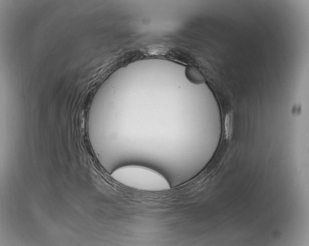 X0000113951443200909250952