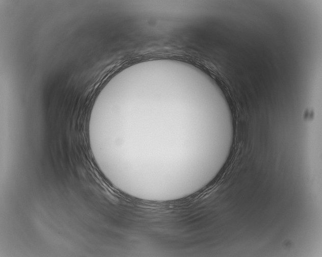 X0000113951444200909250952