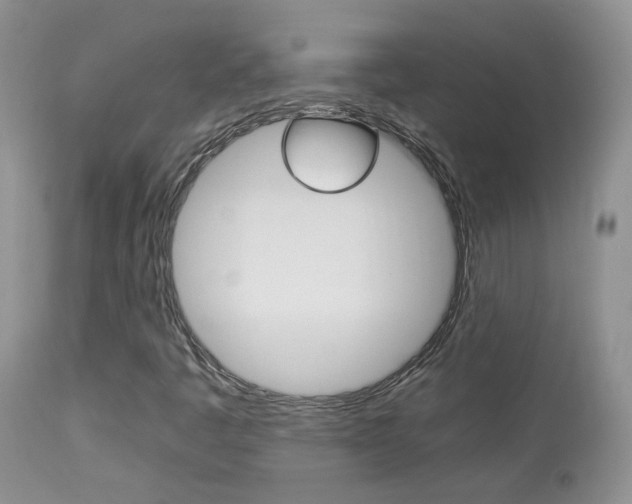 X0000113951445200909250952