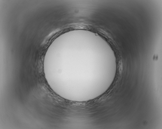 X0000113951446200909250952