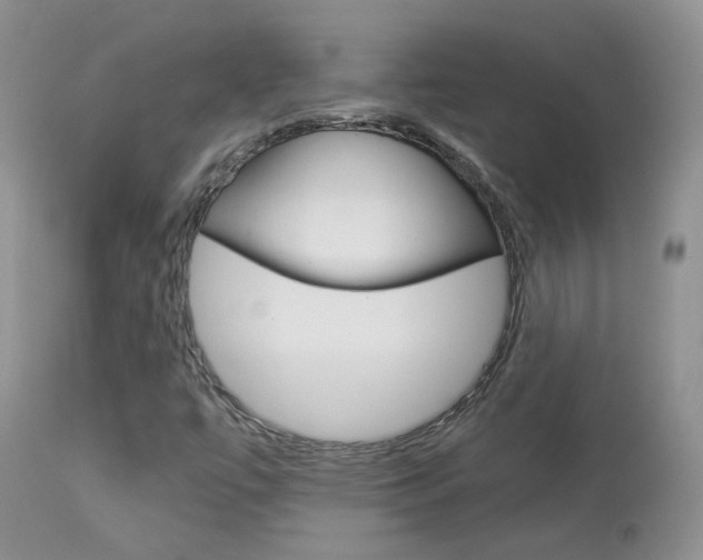 X0000113951447200909250952
