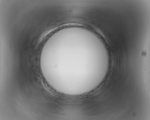 X0000113951448200909250952