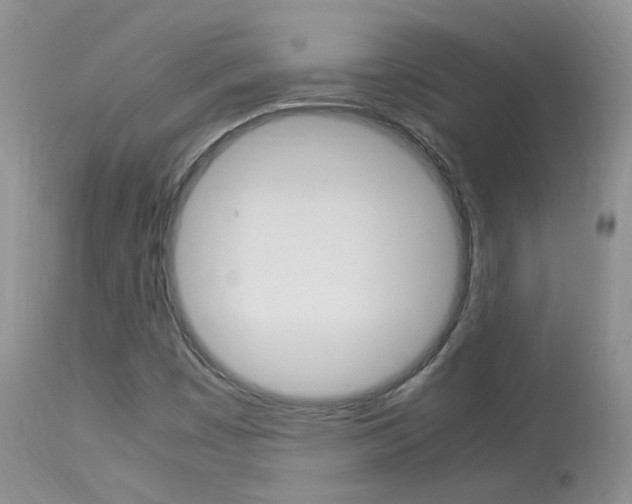 X0000113951449200909250952