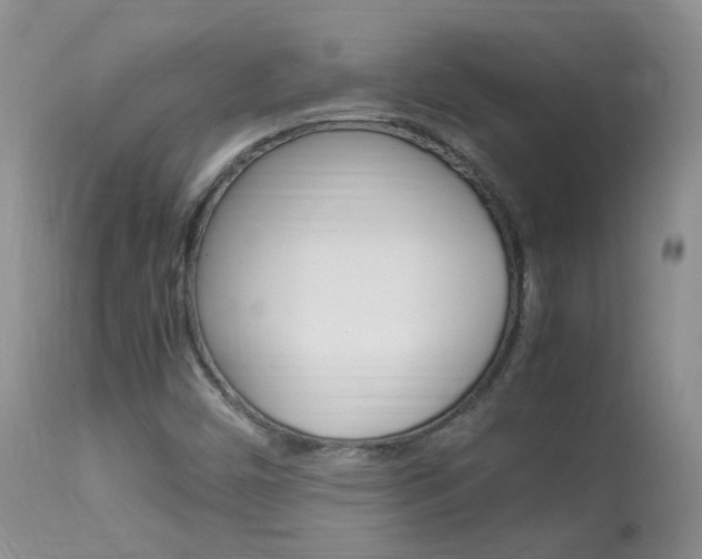 X0000113951450200909250952