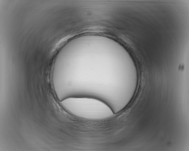 X0000113951451200909250952