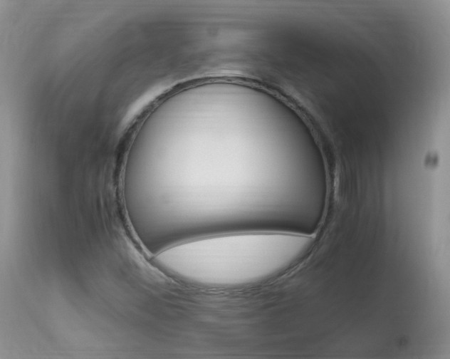 X0000113951452200909250952