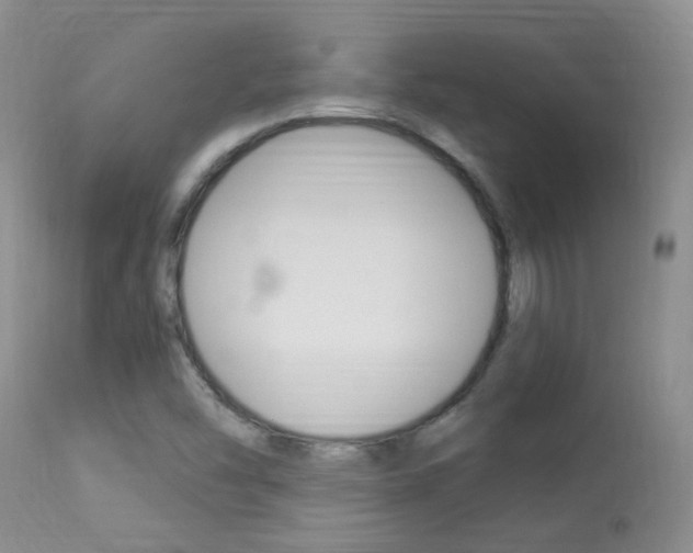 X0000113951454200909250952