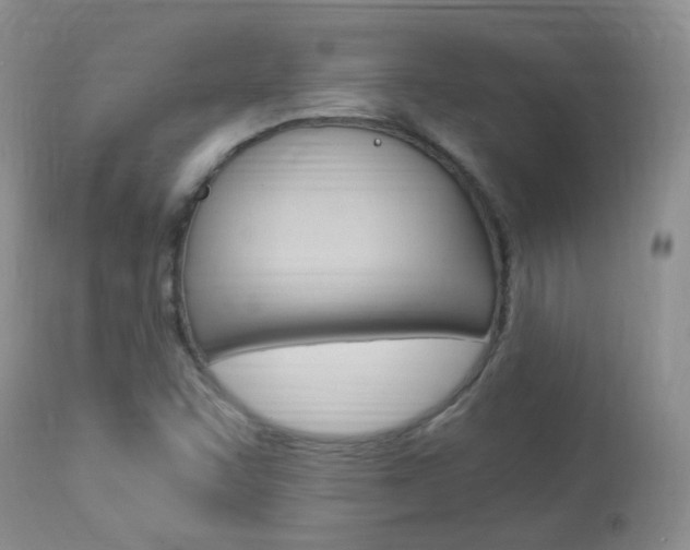 X0000113951455200909250952