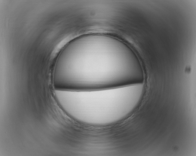 X0000113951459200909250952
