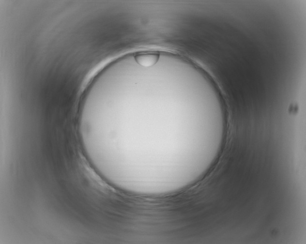 X0000113951460200909250951