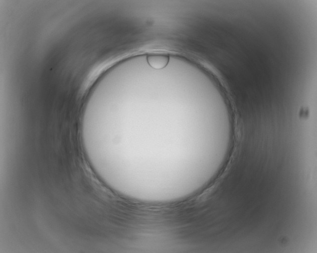 X0000113951461200909250951