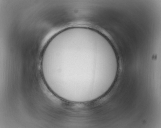 X0000113951462200909250951
